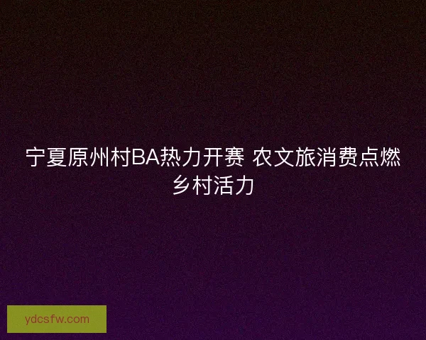 宁夏原州村BA热力开赛 农文旅消费点燃乡村活力