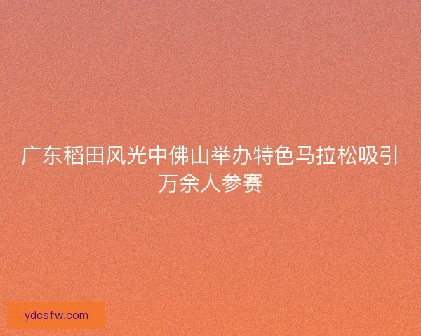 广东稻田风光中佛山举办特色马拉松吸引万余人参赛 广东稻田风光中佛山举办特色马拉松吸引万余人参赛